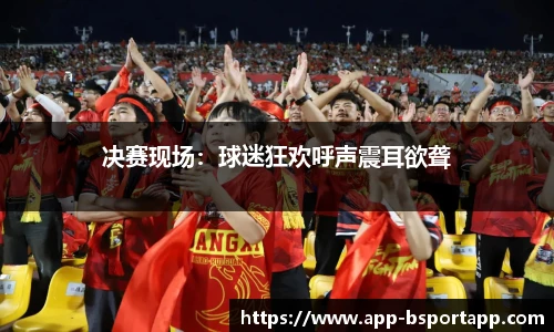 决赛现场：球迷狂欢呼声震耳欲聋